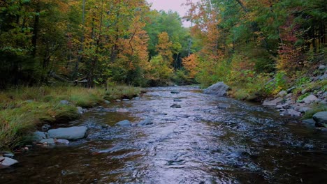 low smooth slow motion drone video footage of a beautiful appalachian forest stream during autumn