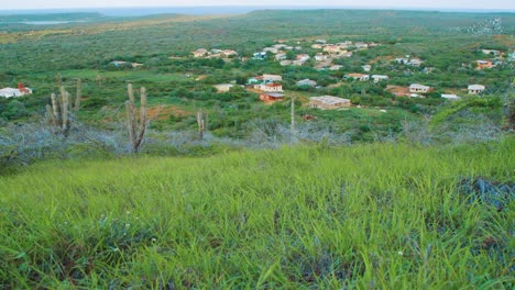 Tilt-Up-Reveal-of-countryside-houses-in-rural-Curacao-on-overcast-morning