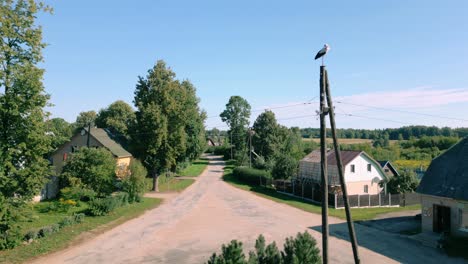 a stork stands atop an electricity pole in the middle of a baltic village square, overlooking a picturesque summer landscape with houses, trees, and a clear blue sky