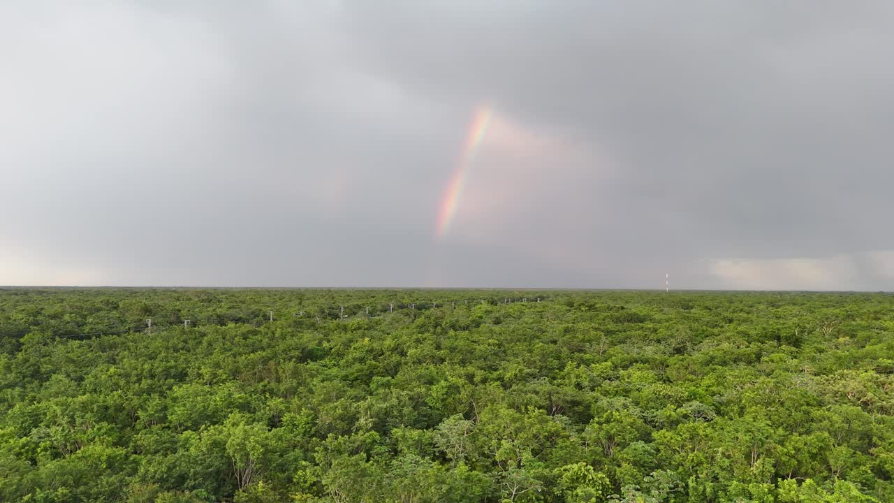 Beautiful rainbow and rain over the dense Yucatan jungle