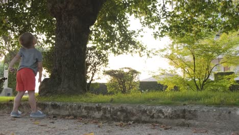 a boy throwing a rock up into a tree in a park, panning shot