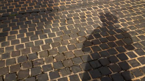 un hombre que proyecta su propia sombra mientras está parado en el pavimento de una calle de ladrillos mientras otras personas pasan proyectando sus propias sombras también