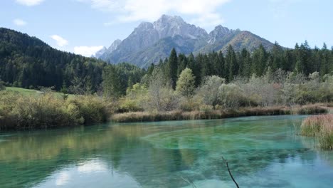 Zelenci-Frühling-In-Slowenien-An-Einem-Schönen-Sonnigen-Tag-Mit-Blick-Auf-Die-Alpen-Im-Hintergrund,-Die-Von-Einer-Seite-Zur-Anderen-Schwenken