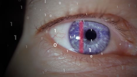 eye scan for biometrics as digital id, animation of binary code from scanning of blue iris