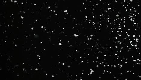 la caída lenta de copos de nieve esponjosos aislados en el fondo negro en el bucle. reflejo de la lente real que es fácil de usar en los modos de superposición de mezcla.