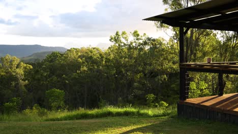 time-lapse of a viewing platform in a lush forest