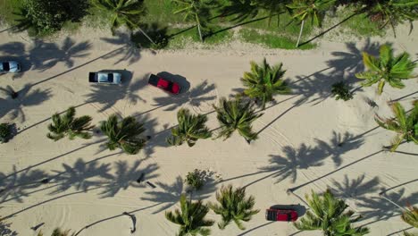 Toma-Aérea-A-Vista-De-Pájaro-De-Automóviles-Conduciendo-Sobre-Arena-Entre-Palmeras-Dirigiéndose-A-La-Playa