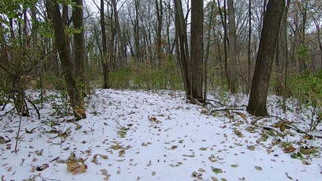 pov from the rear of off road vehicle atv while driving on a snow covered trail through the woods on an early winter afternoon; point of view