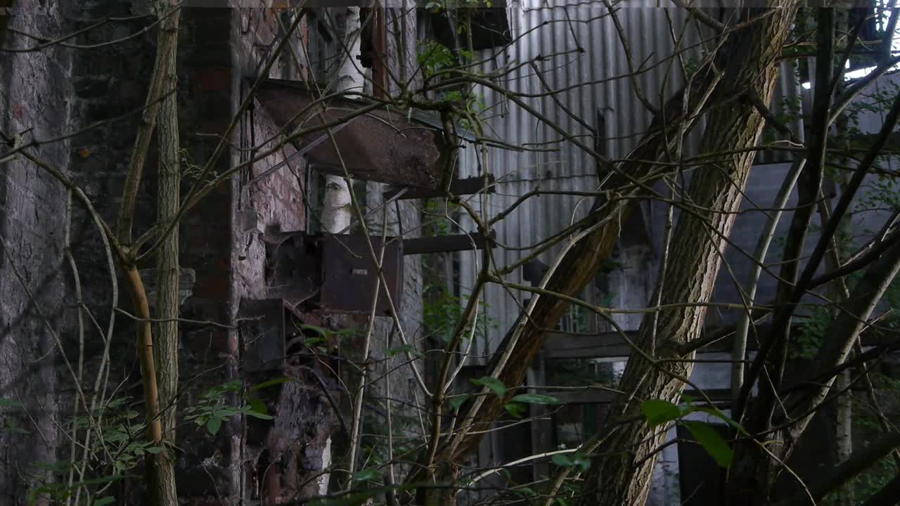 Un edificio inutilizzato nascosto nel mezzo del bosco