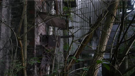 al acecho un edificio en desuso en medio del bosque