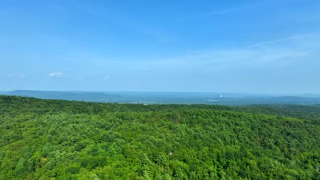 lush forested hills of new england beneath clear blue sky, wide angle