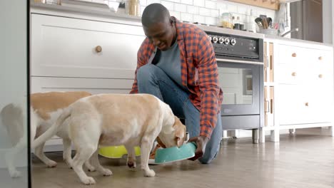 African-american-man-giving-food-to-his-pet-dogs-in-kitchen-at-home,-slow-motion