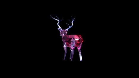 low poly deer of glass material on black background. loop