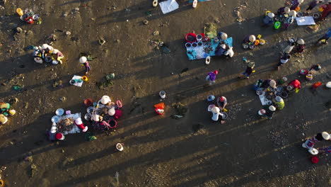 Vogelperspektive-Von-Frauen,-Die-Am-Strand-In-Der-Bucht-Von-Mui-Ne,-Vietnam-Arbeiten,-Am-Frühen-Morgen-Reinigung-Und-Sortierung-Von-Fisch-Und-Meeresfrüchten