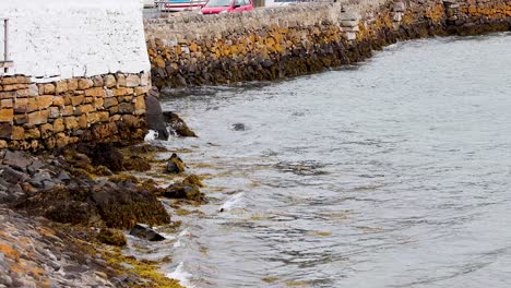 waves hitting a stone wall in fife