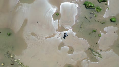 Aerial-Over-A-Man-Walking-Through-Ocean-Tide-Pools-Along-The-Central-Coast-Of-California-Near-Santa-Barbara