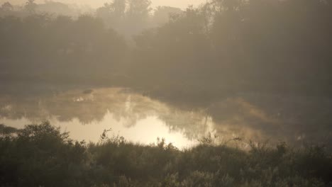Heißwasserquelle-Fluss-Nebel-Auf-Wassernebel-In-Der-Luft-Kalter-Morgen