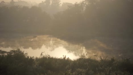 Manantial-De-Agua-Caliente-Niebla-De-Río-En-La-Niebla-De-Agua-En-El-Aire-Mañana-Fría