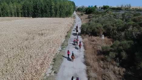 Hermosos-Caballos-Y-Un-Día-Soleado