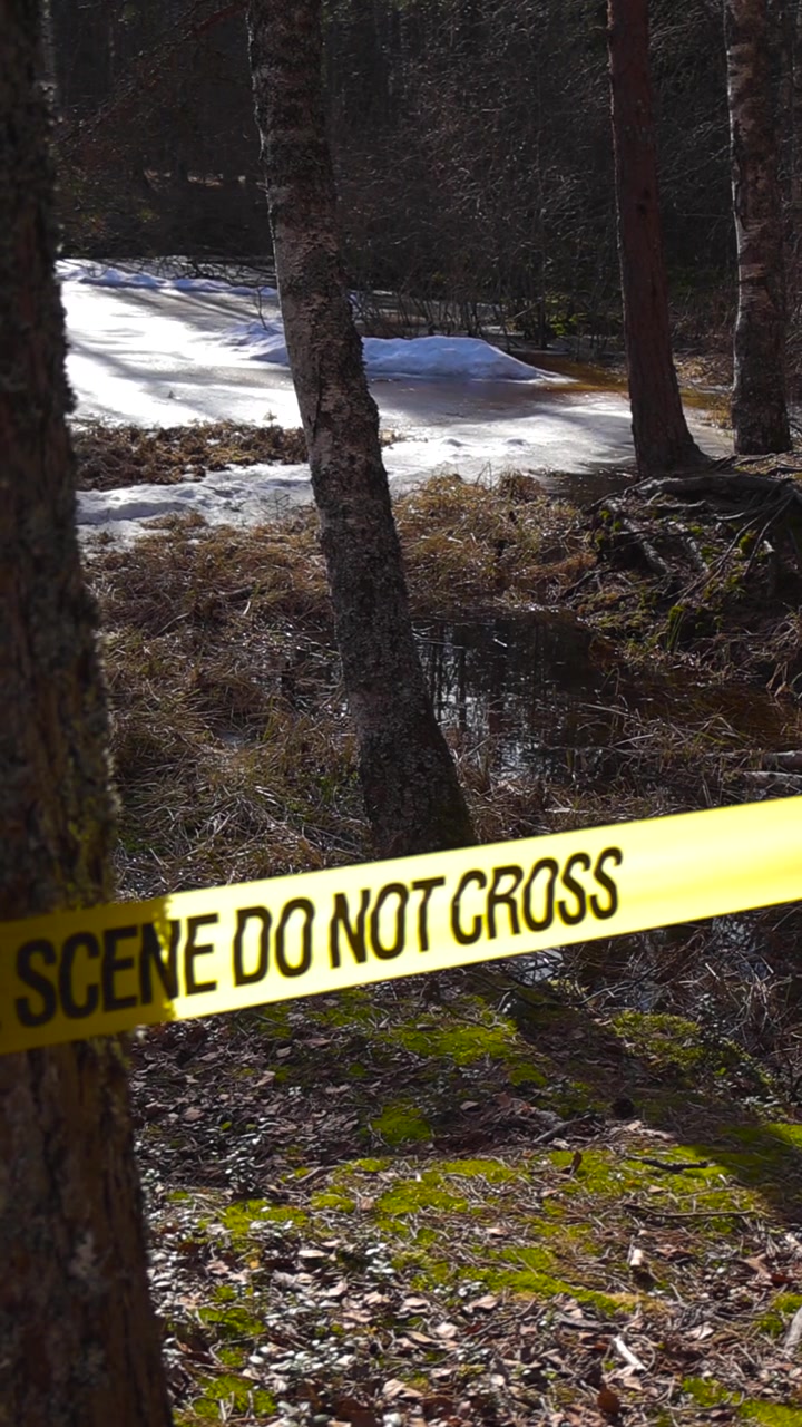 Yellow police tape with the words Crime Scene Do Not Cross marking off a restricted area in a sunny spring forest with patches of melting snow, signaling an active investigation