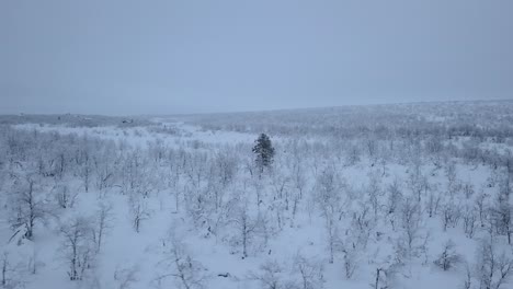 Die-Offenen-Ebenen-Im-Winter-In-Norwegen,-Nahe-Der-Schwedischen-Grenze