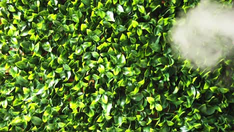 vapor de un humidificador con fondo de hojas verdes