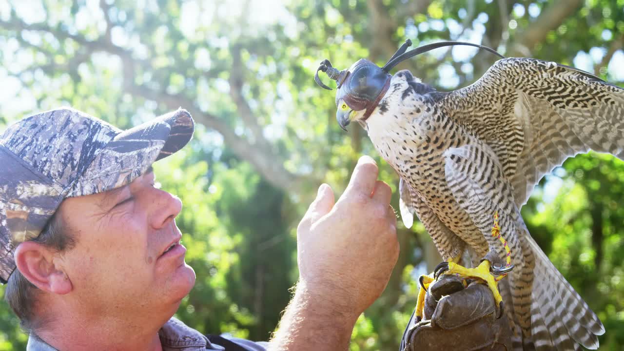 독수리 를 훈련 시키는 사람
