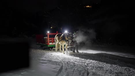 horses and carriage in snow on cold winter night, slow motion