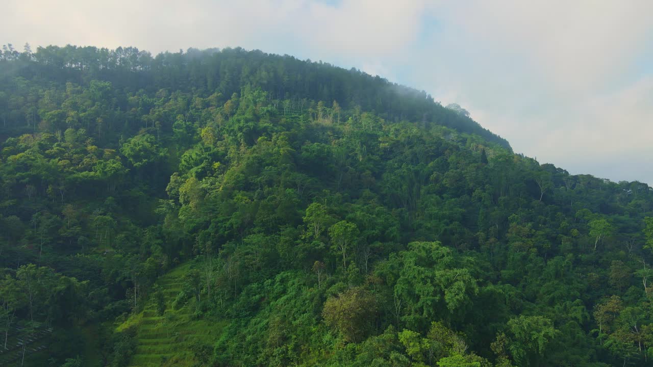 vista aérea de una montaña completamente envuelta en un gran bosque verde