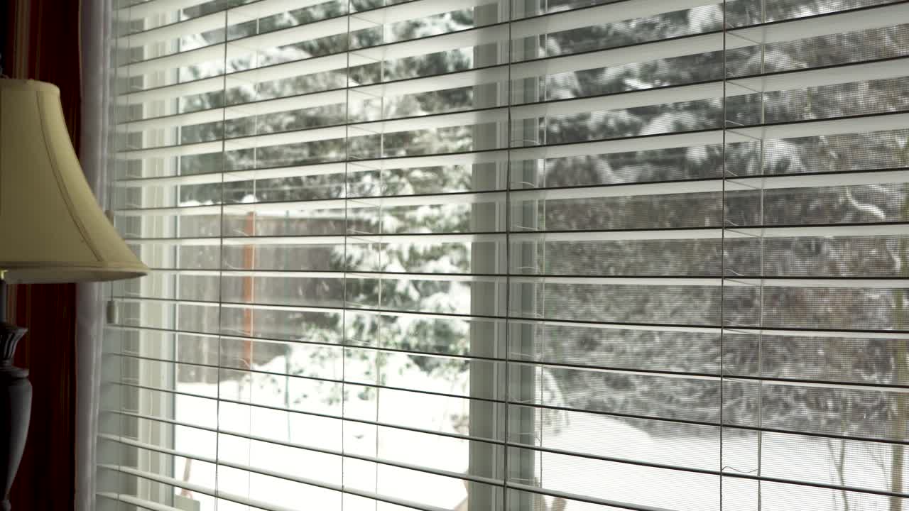 View through family room window as snow falls gently in residential backyard