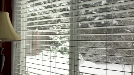 view through family room window as snow falls gently in residential backyard