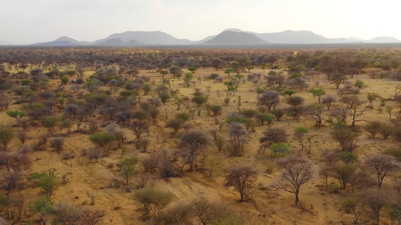 hermosa antena revela el paisaje llanuras árboles de acacia y sabana de namibia en la reserva de erindi