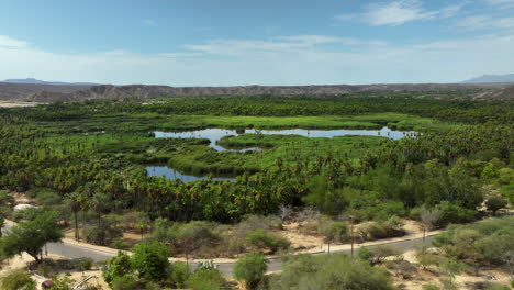 drone flying over the mirador santiago oasis, in sunny baja california, mexico