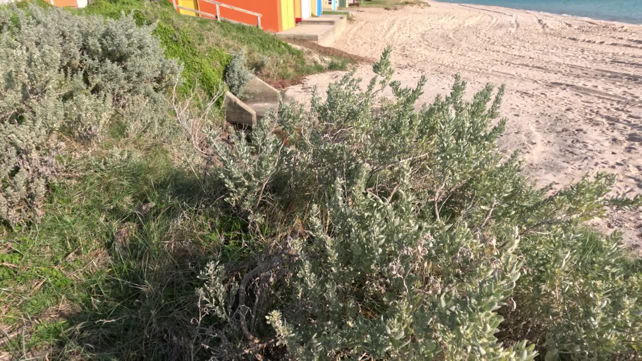 모래 해안선을 따라 다채로운 해변 상자