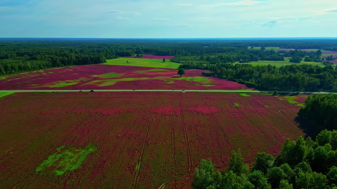 Droneoptagelse over et farverigt landskab med mønstrede marker, skovbryn og åben horisont. Naturskønne luftoptagelser med levende farver, geometriske landbrugsarealer og en fredfyldt landstemning.
