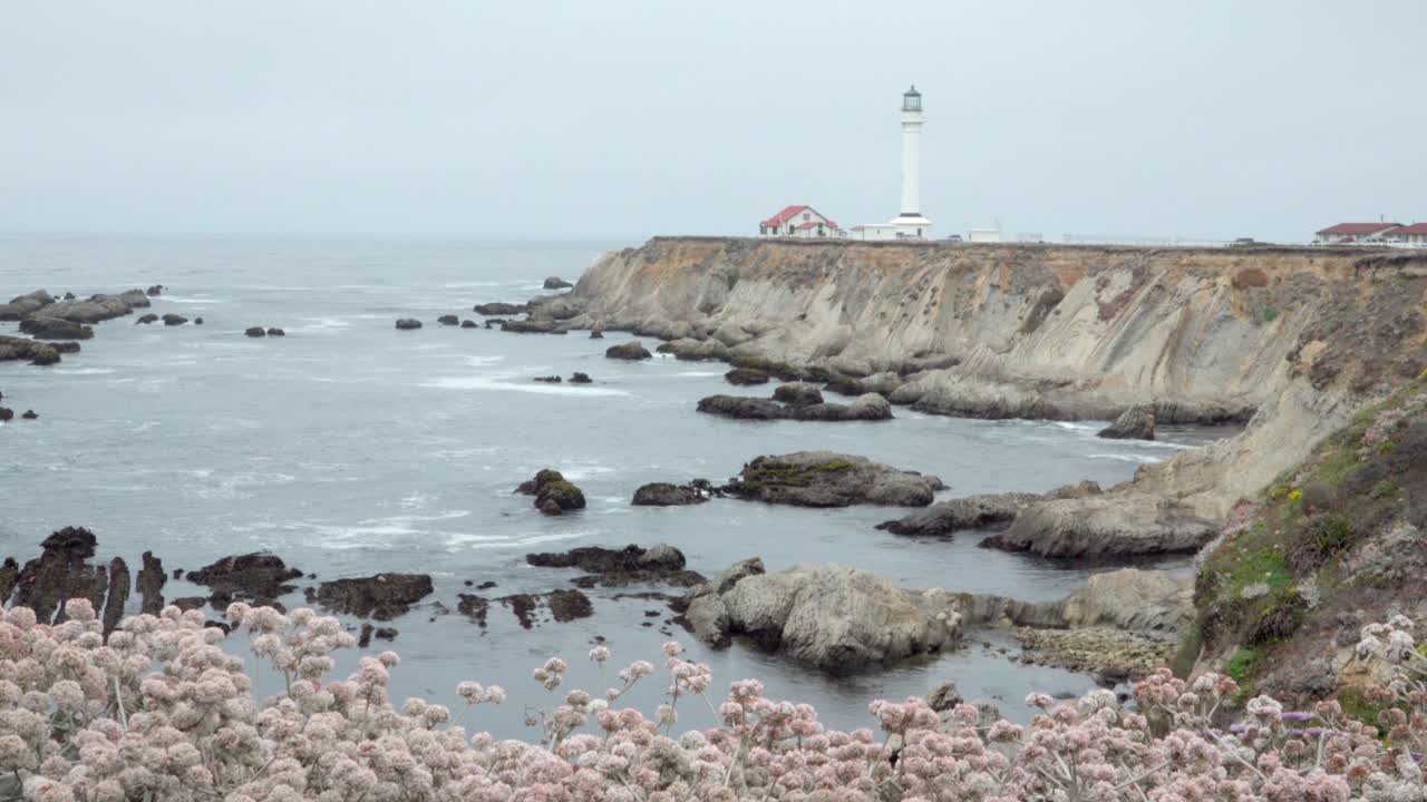 역사적인 포인트 경기장 등대 캘리포니아 2 아래 해안에서 부서지는 야생화와 파도의 아름다운 돌리 샷
