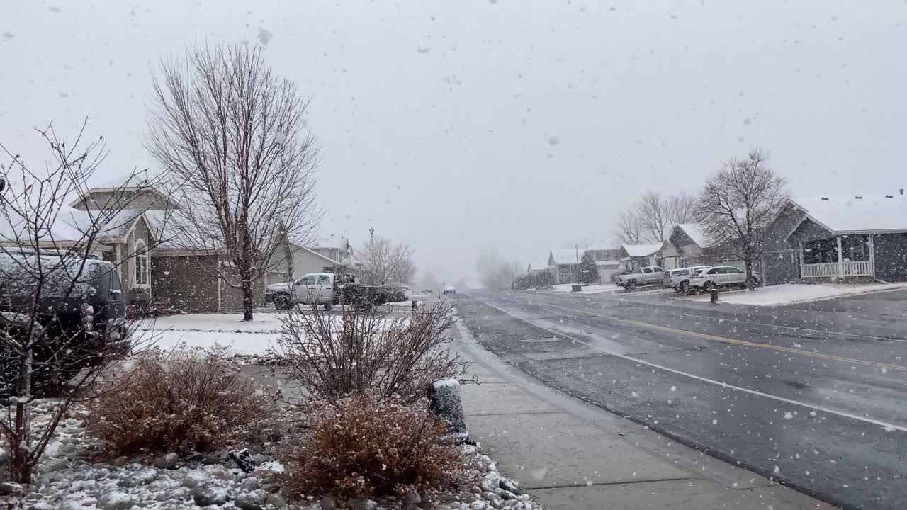 2021년 콜로라도의 역사적인 강설량에 떨어지는 매우 큰 눈송이