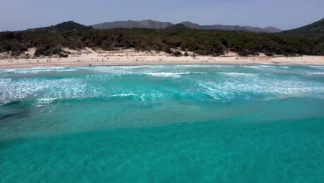 Mallorca-beach-Cala-Aguila-on-a-sunny-day-with-a-seagull-flying-through-the-shot-with-clear-blue-water