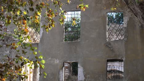 ruined building with windows and tree leaves