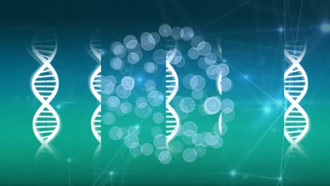 animación de la red de conexiones con iconos sobre cadenas de adn