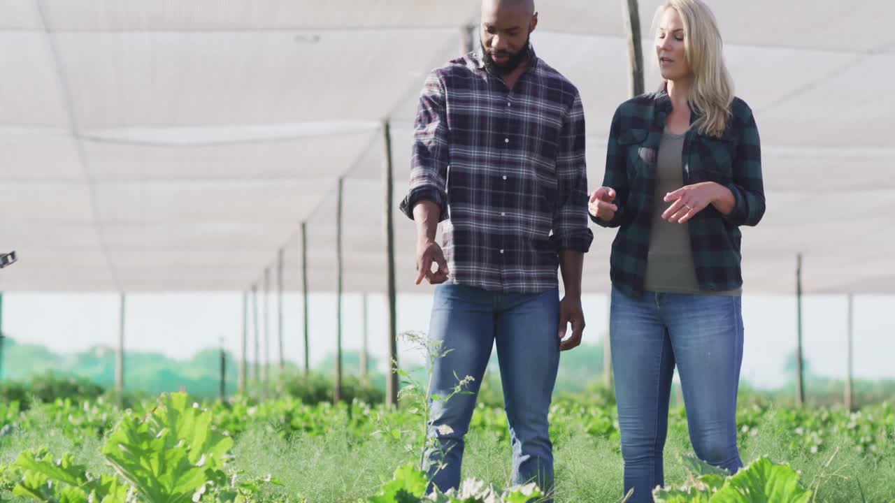 video de una mujer y un hombre felices y diversos hablando en un invernadero