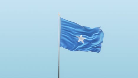 somalia flag with alpha