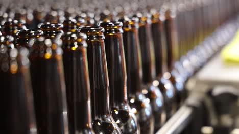 the distillery machi bottling beer in a storage