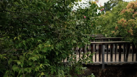 Wooden-Footbridge-Between-Hedge-Maze-In-NSW,-Australia---Bago-Maze-and-Winery