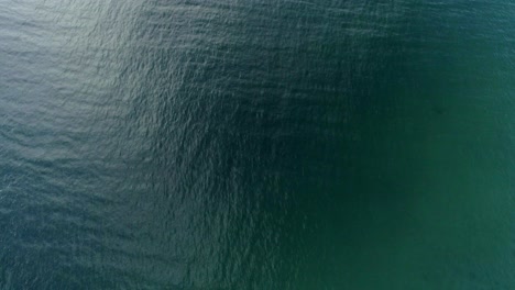 abstract dark tropical textured waters top down aerial