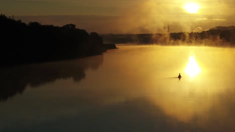 fog over the nemunas river