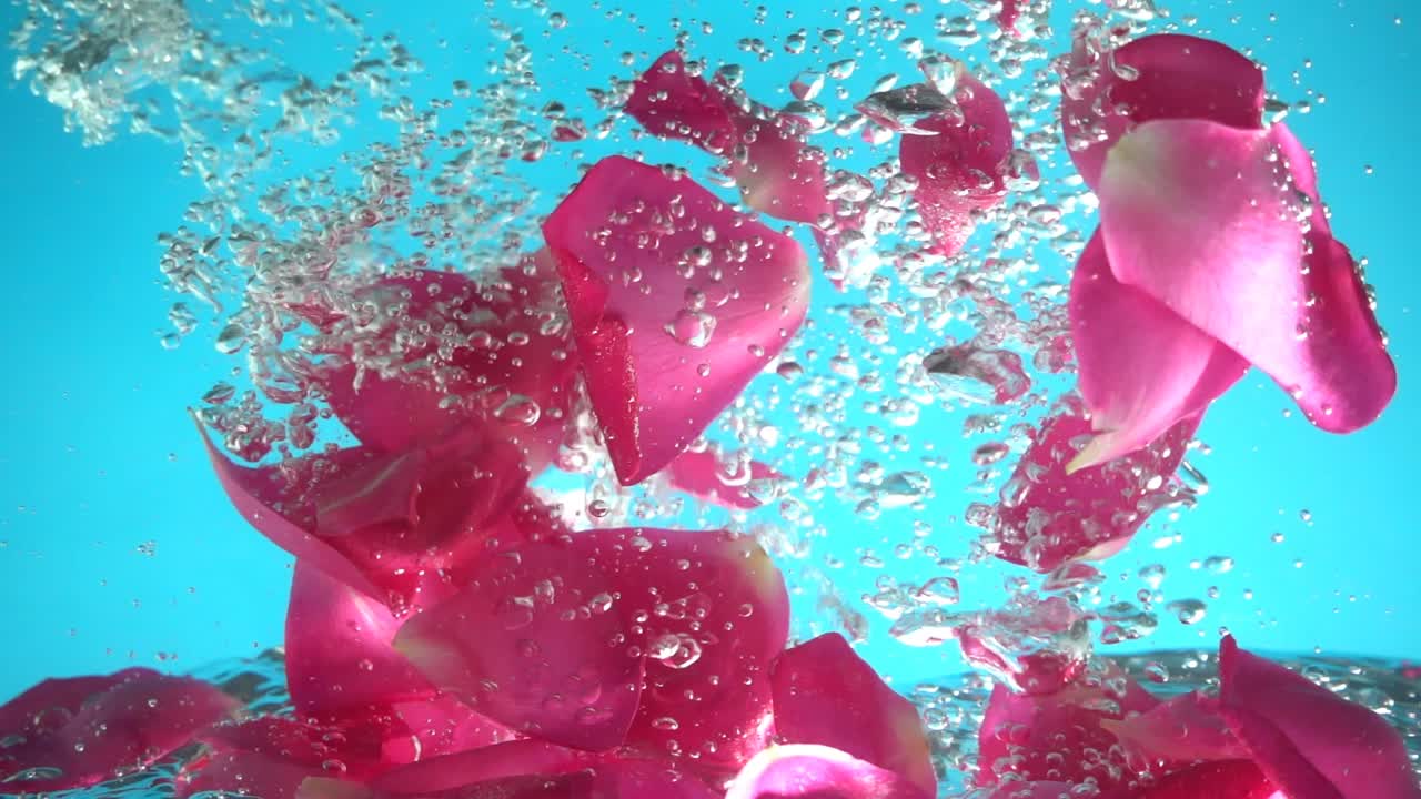 Petali di rose cadono nell'acqua. Sfondo. Movimento rallentato.