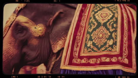 elephant parade ceremony in south india