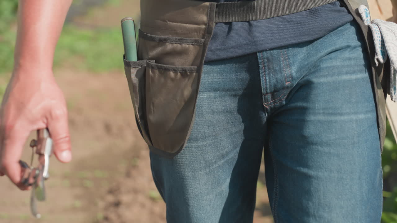 Primo piano di un uomo che cammina in giardino in jeans con una cintura porta attrezzi, tenendo delle cesoie da potatura, con la luce del sole su gambe e cintura, piante verdi sullo sfondo sfocato e il movimento del passo visibile.