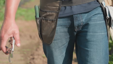 close up of man walking through garden in jeans with tool belt holding pruning shears, sunlight on legs and belt, green plants blurred background, motion of step visible